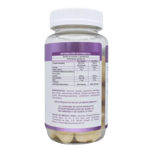 PROBIOTICOS 500 MILLONES 240 G VITAGUMMY