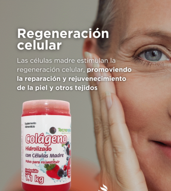 Colageno Hidrolizado Con Celulas Madre 1.1KG