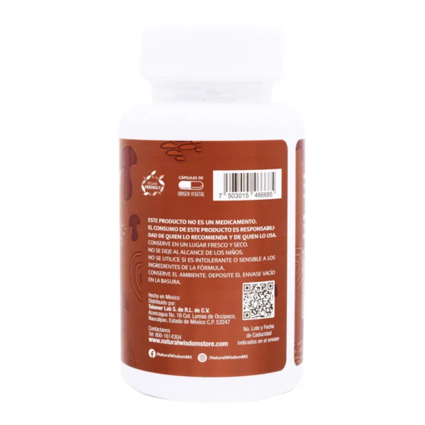 Ganoderma Hongo Reishi 60 Capsulas