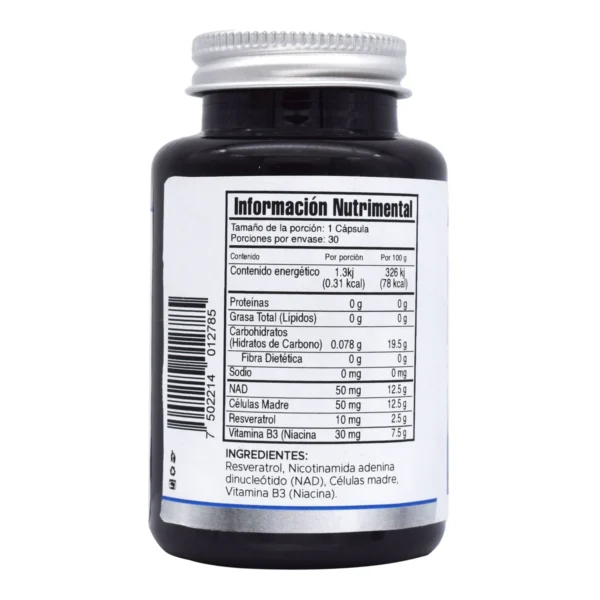 KIT ANTI CAIDA AVANZADO