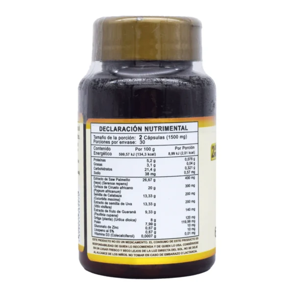 PROSTEN62 KIT Soporte En Prostata