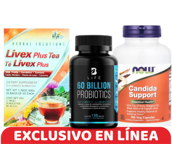 KIT SOPORTE EN CANDIDA