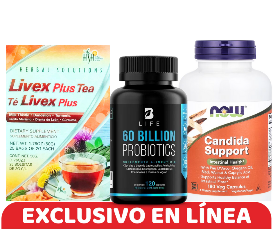 KIT SOPORTE EN CANDIDA