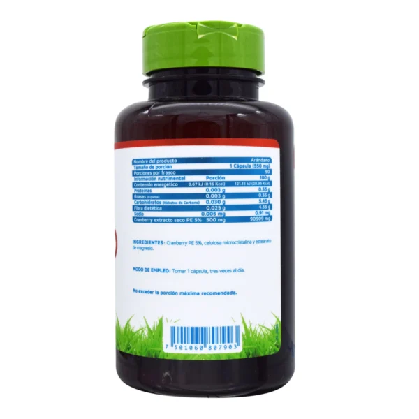 KIT Soporte En Vias Urinarias